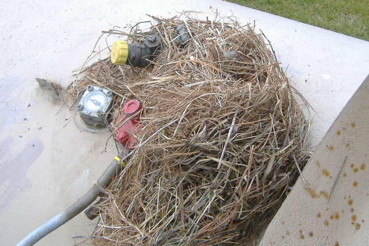 Discouraging Animals from Nesting in Your Propane Tank Dome