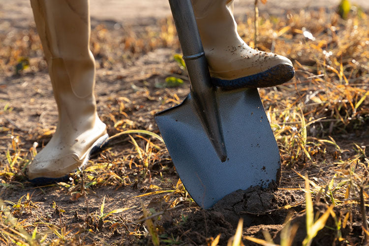 A Homeowner's Guide to Buried Propane Lines